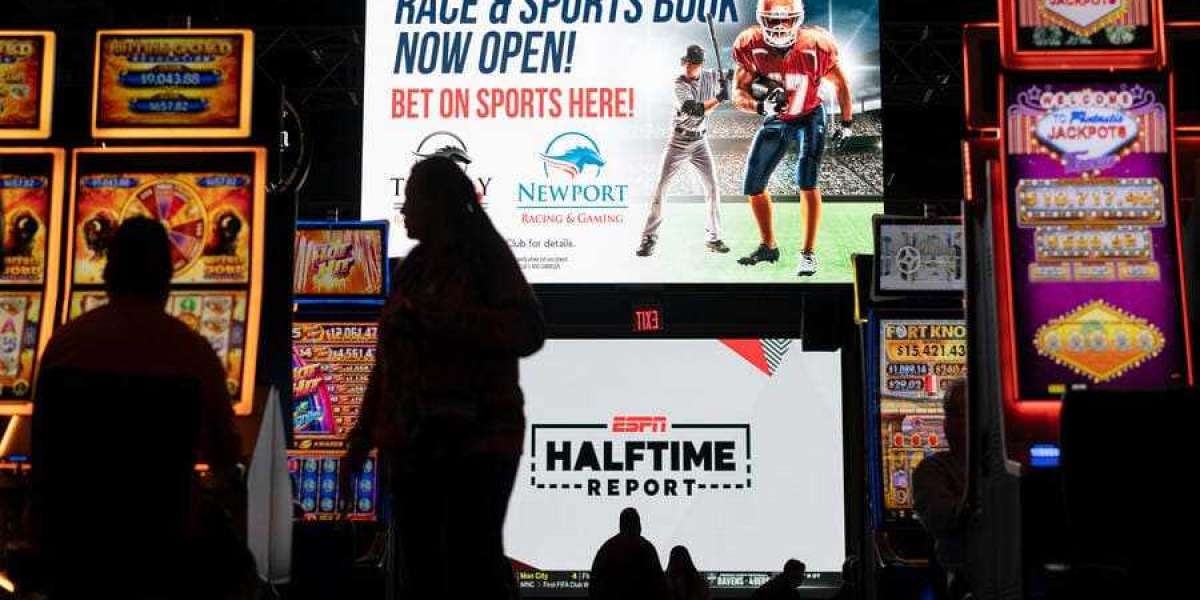 Wager Your Way to Glory: A Peek Inside the World of Sports Gambling