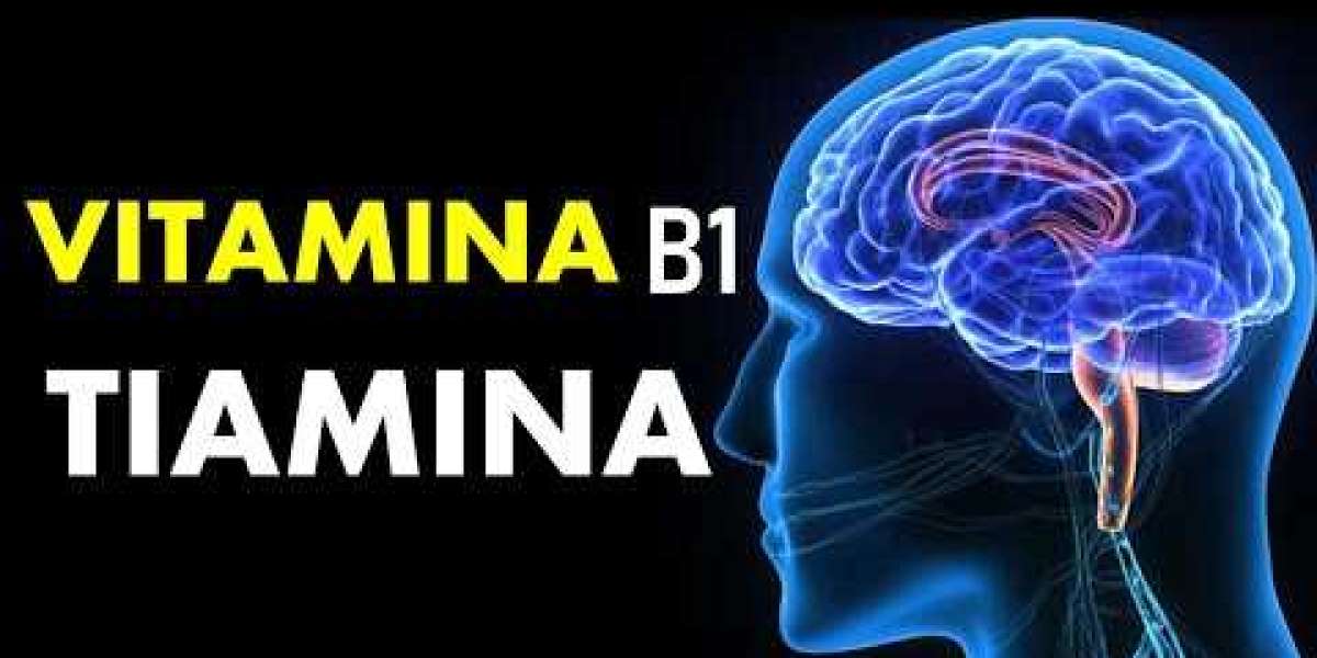 Vitamina B12: para qué sirve, alimentos y cuándo tomar su suplemento