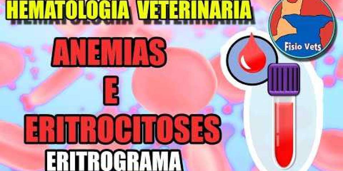 Avanços em Sorologia Veterinária: Combate aos Parasitas Animais em São Paulo