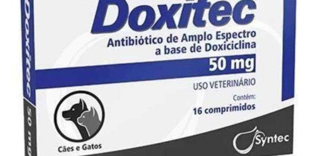 Laboratório Veterinário Perto de Mim na Zona Oeste: Serviços de Confiança